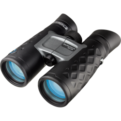 Steiner Bluhorizons 10x42