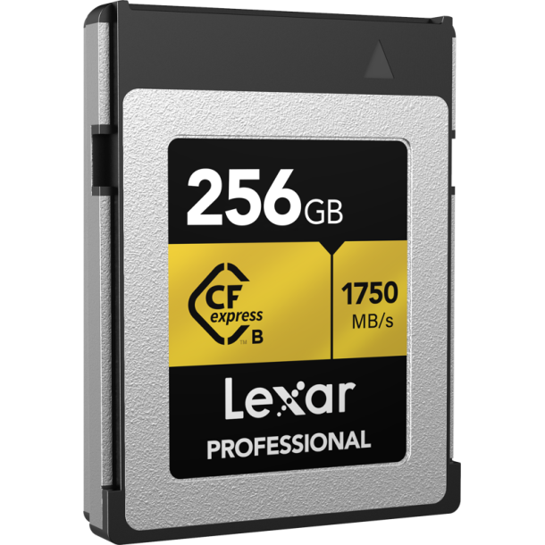 CFexpress Pro Gold R1750/W1500 256GB