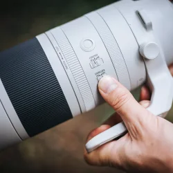 Canon RF 200-800mm F6.3-9 IS USM