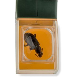 Carson Insektfanger Lup 5X